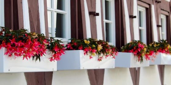 Blumenkästen an einem Fachwerkhaus in Biberach