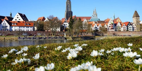Die Stadt Neu-Ulm im Frühling