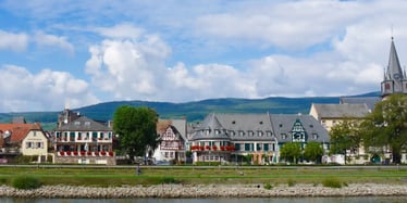 Blick auf die Stadt Oestrich-Winkel