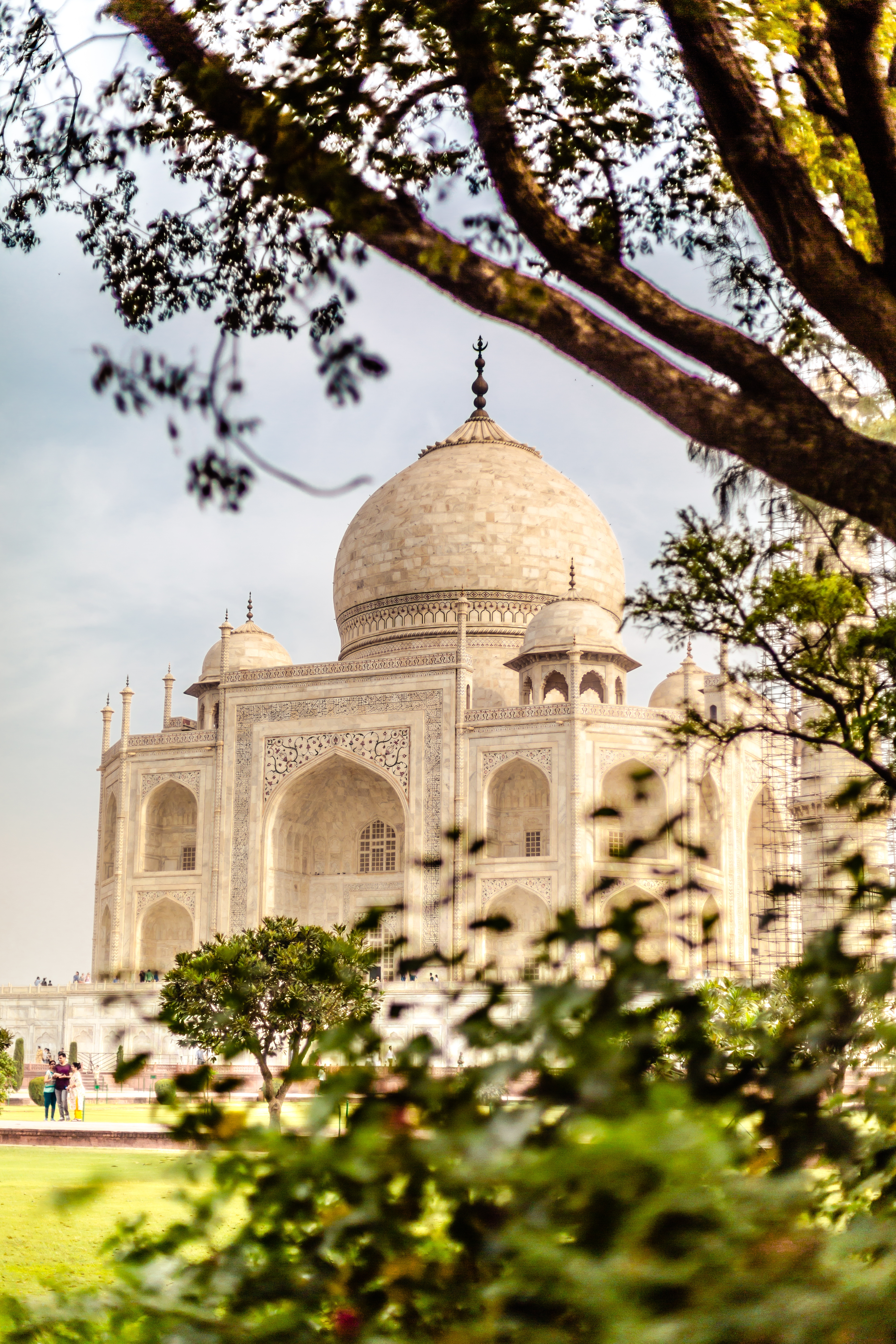 beautiful-vertical-shot-taj-mahal-building-agra-india-with-trees-nearby